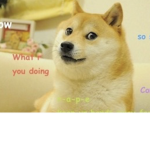 Doge Battle