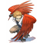 mha hawks fan club