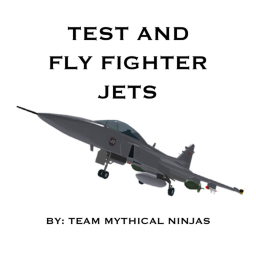 FLY AND TEST FIGHTER JETS