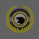 SWC I The 13th Special Missions Brigade