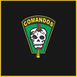 Comandos icon