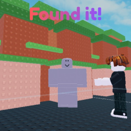 Find The NPC