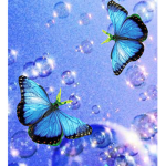 Butterfly bubbles