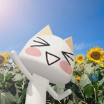 KITTY'S >_<