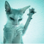 #WOCK