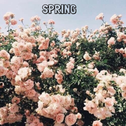 Spring event!