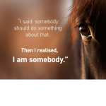 Don’t Bet On It- Save The Horses