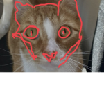 Ｋれモモ匚丹ㄗ