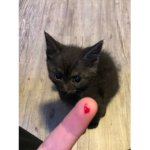 Me, ok BOOMER