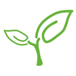 Sprout Route