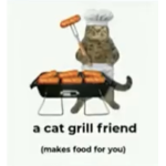 a cat grill friend