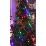 That ninja cat