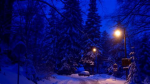 Snows community
