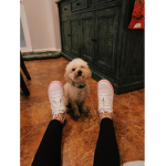Puppy’s rule