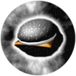 IT'S BEANS AND BURGERS Roblox badge thumbnail