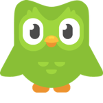 Duolingo's basement
