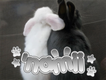'namii