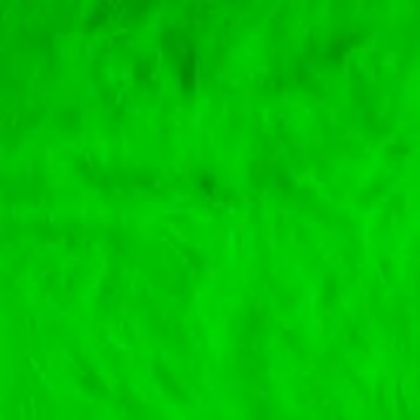 green Roblox decal