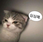 살보결 MNX클