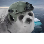 Seals are strong