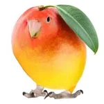 30 Kills + Killstreak Gun