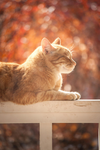 KittyMM2’s group