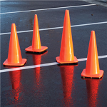 THE CONES CLAN