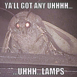 The moth group