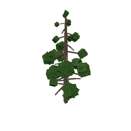 Pine Tree