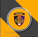 INPR|| Profesi dan Pengamanan