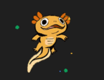 Axolotol Development