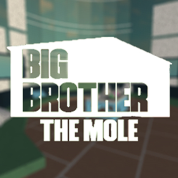 Big Brother Era 1