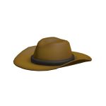 Cowboy Hat