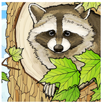 Raccoon simulator