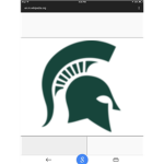 Michgan State Football league
