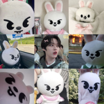 STRAYKIDS Fndom
