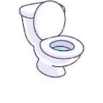 the holy toilet