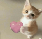 V-Hearts