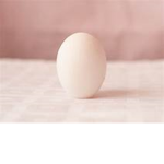 Egg Warzone