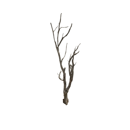 Dead Tree Mesh