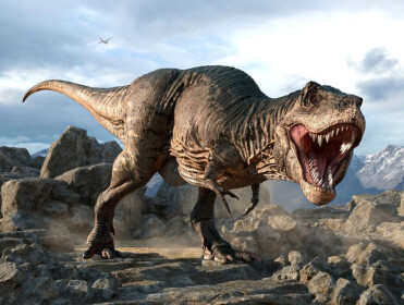 Jurassic Roam