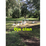 Ojs clan group