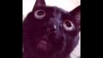 L0vsick