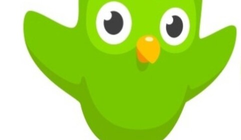 duolingo sad story