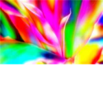 ~NEON People~