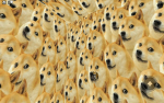 Doge......