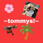 ~tommys~