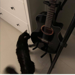 🖤