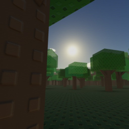 Lighting/Environment Test