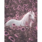 The Magical Unicorns!
